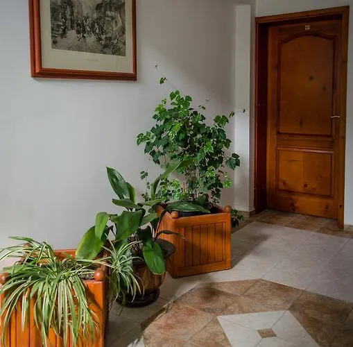 酒店 Kalypso 普里莫尔斯科