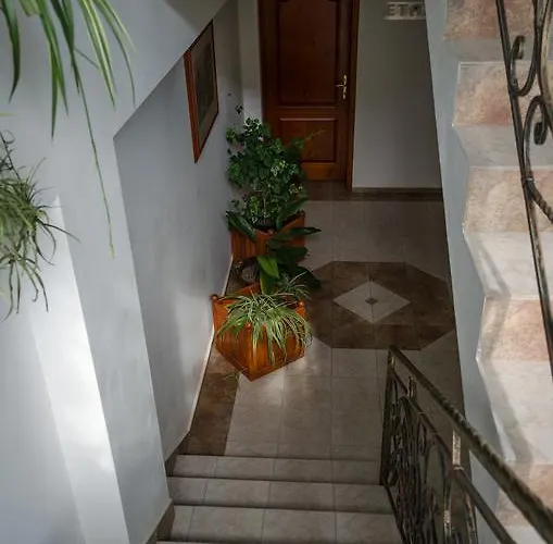 Kalypso 普里莫尔斯科