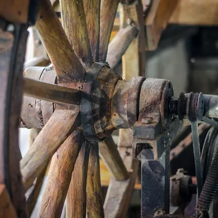 Kalypso 酒店 普里莫尔斯科