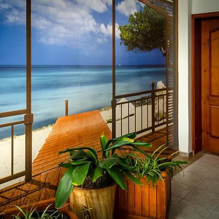 Kalypso 酒店 普里莫尔斯科